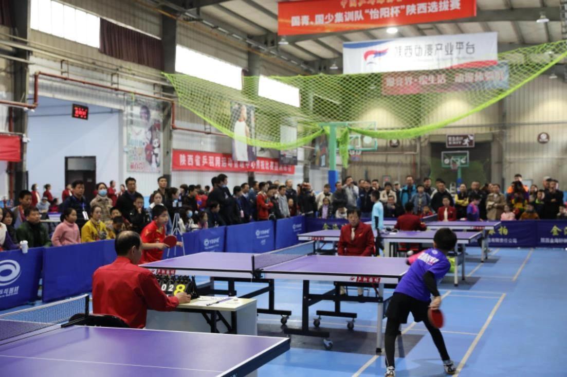 国王队的明 国王队的明